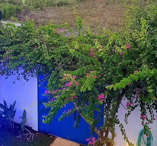 Villa Orchid 18m Pool, Sea View *